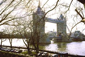 工場物件に関する相談ができる会社なら