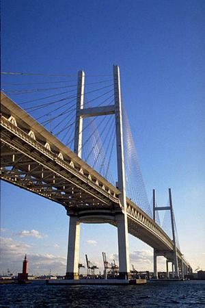 マンション管理を安心して任せられます