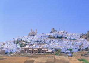 札幌で安心できる外壁塗装を依頼するなら