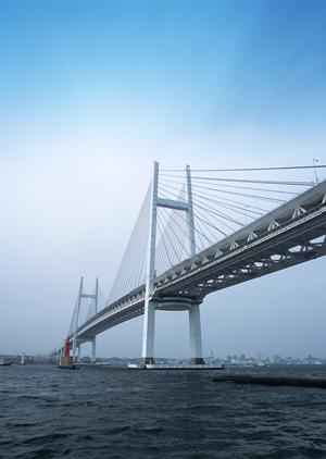 軽量かつ高強度のめっきかご枠です