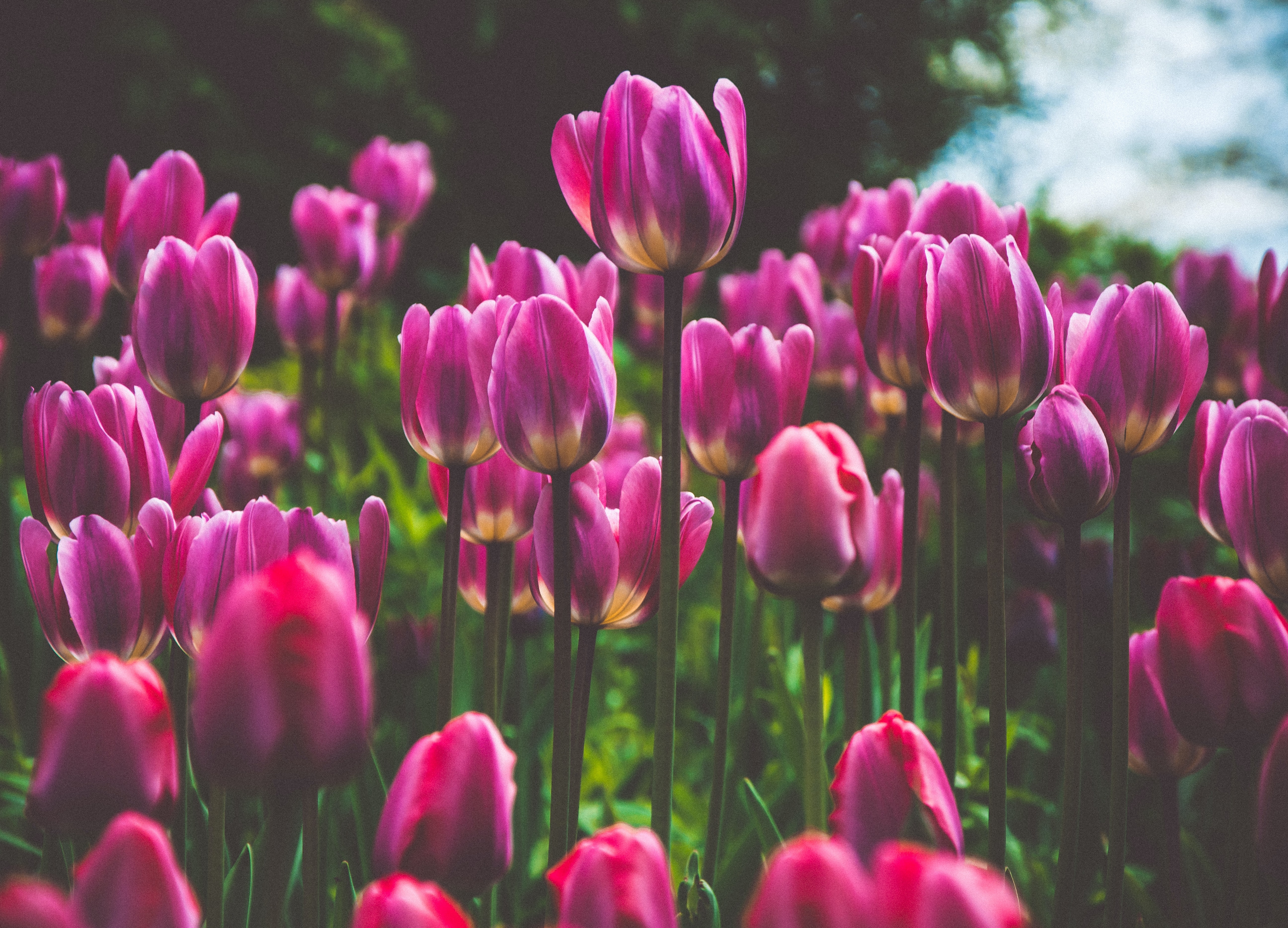 不動産投資のすすめ